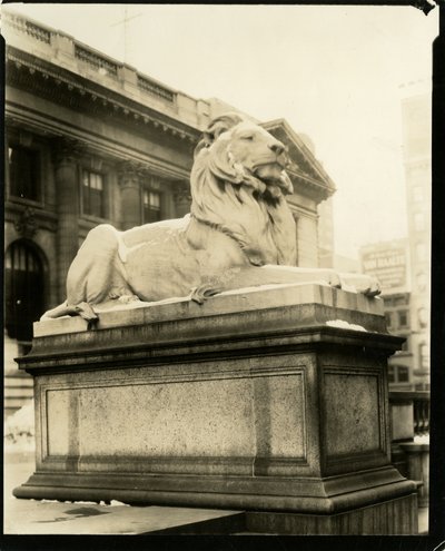 De trotse leeuw voor de bibliotheek Hij begrijpt Gertrude Steinish, New York, VS, ca. 1905-40 door Jessie Tarbox Beals