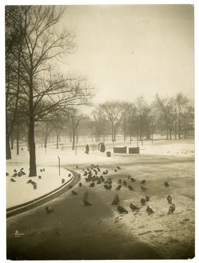 Ongewoon koud in de Common, Boston, VS, ca. 1902-10 door Jessie Tarbox Beals