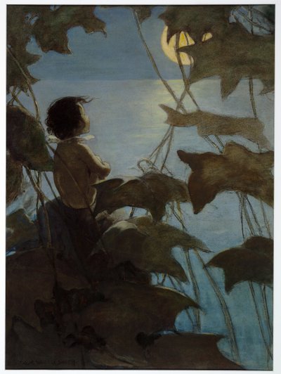 Hij keek op naar de brede gele maan en dacht dat zij naar hem keek, uit The Water Babies door Charles Kingsley, pub. 1916 door Jessie Willcox Smith