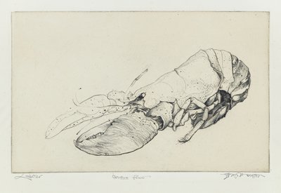 Kreeft door Jim Monson