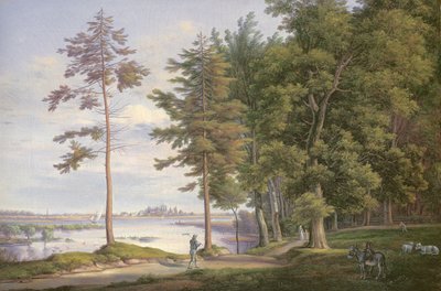 Een weide in Hamburg door Joachim Faber