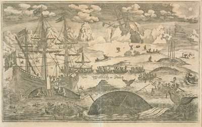De walvisvisserij door Joachim Wichmann