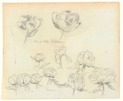 Bloemenstudies door Joakim Frederik Skovgaard