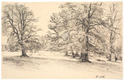 Licht hellend terrein met verspreide grote bomen door Joakim Frederik Skovgaard