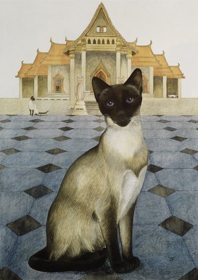 Siamese door Joan Freestone