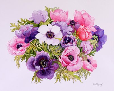 Anemonen door Joan Thewsey