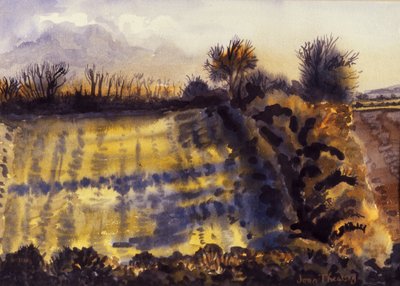 Veld met Lange Schaduwen, 1990 door Joan Thewsey