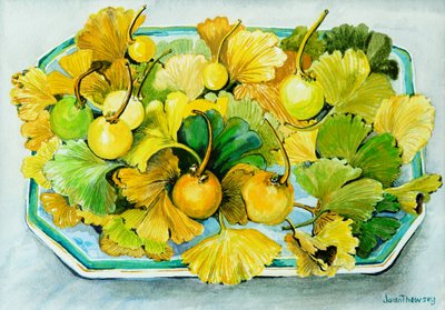 Ginkgo, fruit en bladeren door Joan Thewsey