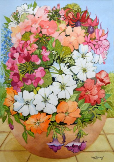Petunia