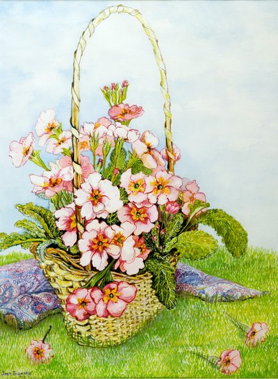 Roze primula