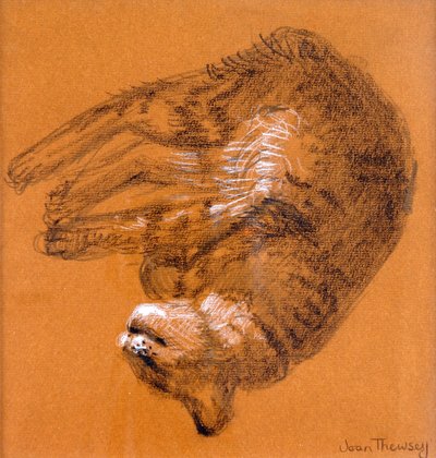 Slapende Cyperse Kat, 2005 door Joan Thewsey