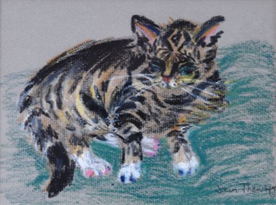 Cyperse Kat, 2005 door Joan Thewsey