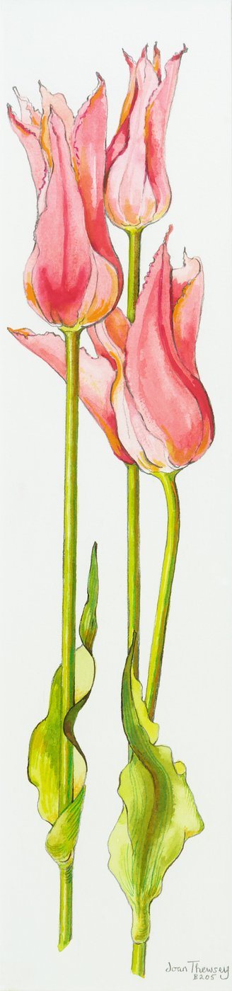Drie rode lelievormige tulpen door Joan Thewsey
