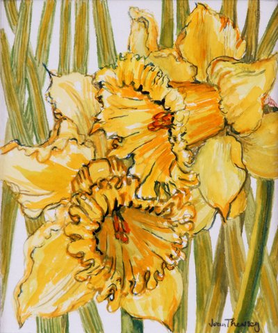 Twee Narcissen door Joan Thewsey