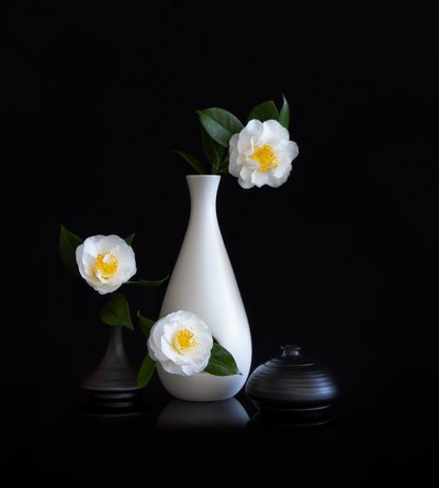 Stilleven met witte camelia’s door Joanna W