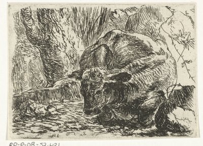 Koe (Dieren) door Joannes Fijt