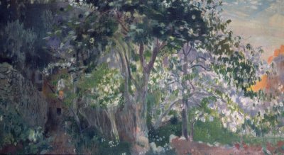 De Grijze Boom, Sa Calobra, Mallorca door Joaquim Mir i Trinxet