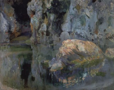 El roc de l’estany door Joaquim Mir i Trinxet