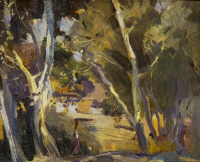 Miravet door Joaquim Mir i Trinxet