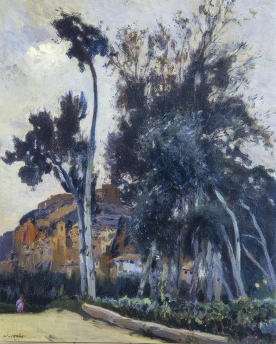 Miravet door Joaquim Mir i Trinxet