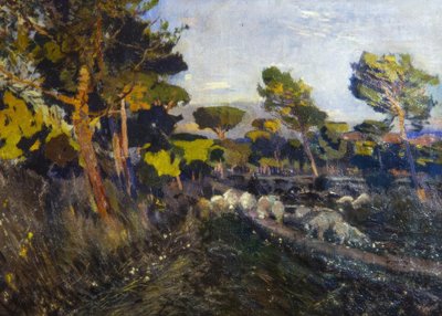 Zonder titel door Joaquim Mir i Trinxet