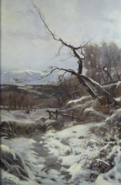 Winter door Joaquim Mir i Trinxet