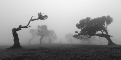  door Jochen Bongaerts
