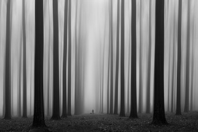 Mistig bospad door Jochen Bongaerts