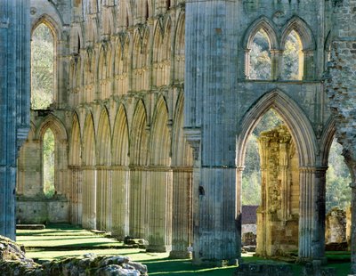 Rievaulx Abbey, ca. 1990-2010 door Joe Cornish