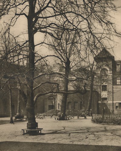 Onder de Iepen in de Binnenplaats van Middlesex Ziekenhuis, ca. 1935 door Joel