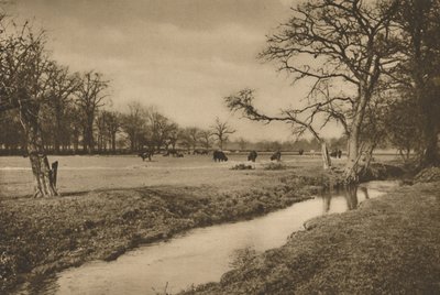 Waar Beverley Brook door het Koninklijk Jachtpark van Richmond slingert. Circa 1935 door Joel
