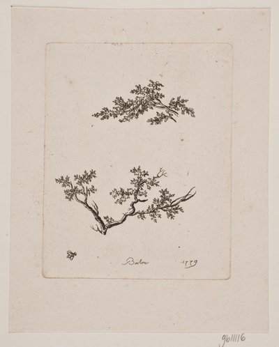 Twee takken door Johan Bülow