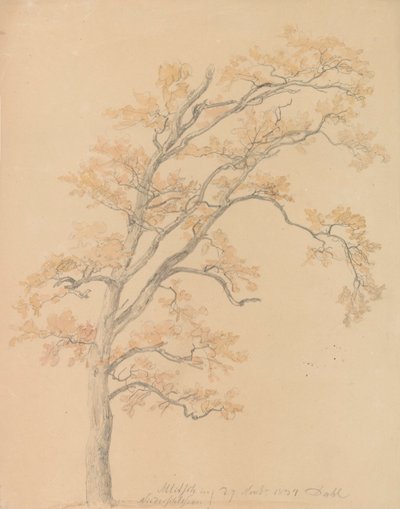Eiken met herfstbladeren, Milicz door Johan Christian Dahl