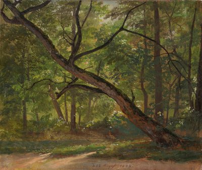 Partij in de Grote Tuin bij Dresden door Johan Christian Dahl