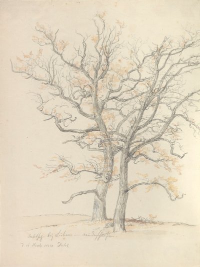Twee eiken door Johan Christian Dahl