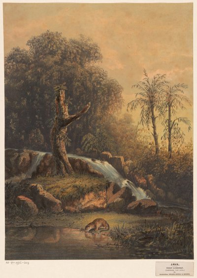 Landschap met waterval en drinkend luipaard door Johan Conrad Greive