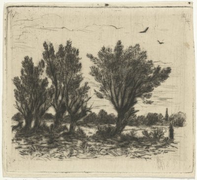 Wilgenrij door Johan Frederik Croockewit