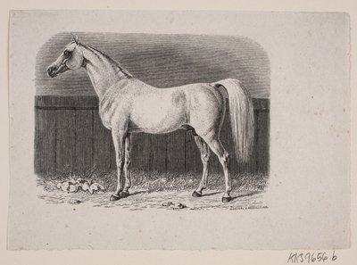Een paard door Johan Frederik Rosenstand