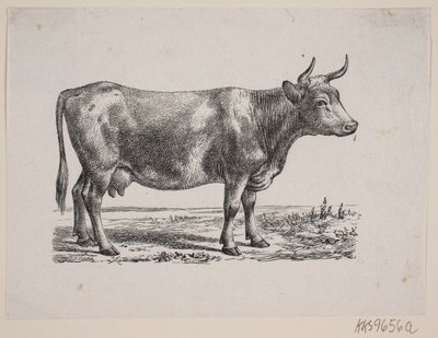 Een koe door Johan Frederik Rosenstand