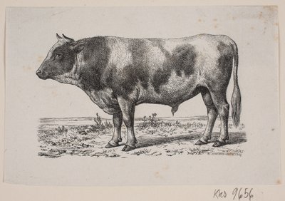 Een stier door Johan Frederik Rosenstand