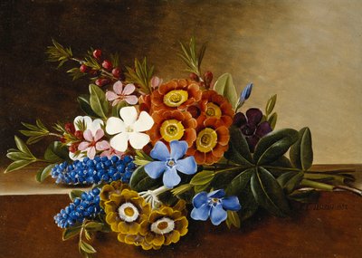 Periwinkle, Auricula en Druifhyacinten op een Marmeren Rand, 1882 door Johan Laurents Jensen