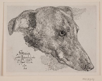 Deens: Hundehoved, Snip door Johan Lundbye
