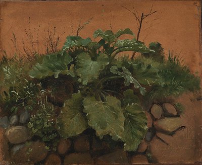 Een klis en andere planten op een stenen muur door Johan Thomas Lundbye