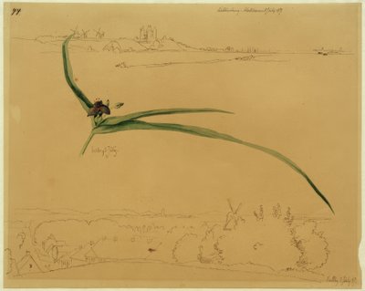 Gezicht op Kalundborg en studie van een driemasterbloem door Johan Thomas Lundbye