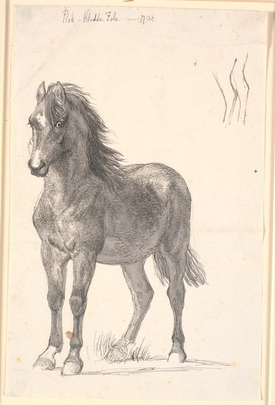 Een staand paard door Johan Thomas Lundbye