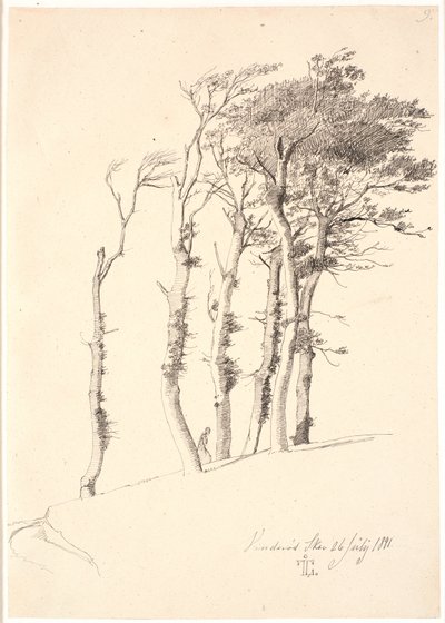 Groep van door de wind geteisterde bomen door Johan Thomas Lundbye