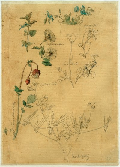 J. Th. Lundbye, plantenstudie door Johan Thomas Lundbye