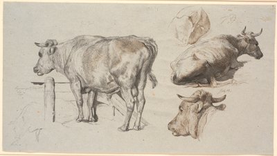 Veestudies. Links de Stier Grev Geert door Johan Thomas Lundbye