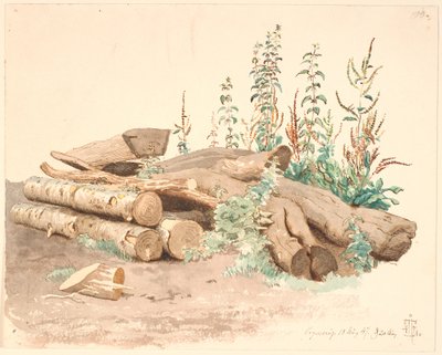 Enkele gevelde boomstammen, een waterbak en verschillende plantengroei door Johan Thomas Lundbye
