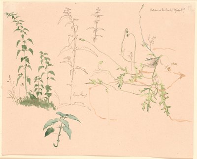 Plantenstudies door Johan Thomas Lundbye